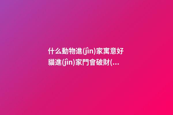 什么動物進(jìn)家寓意好 貓進(jìn)家門會破財(cái)嗎
